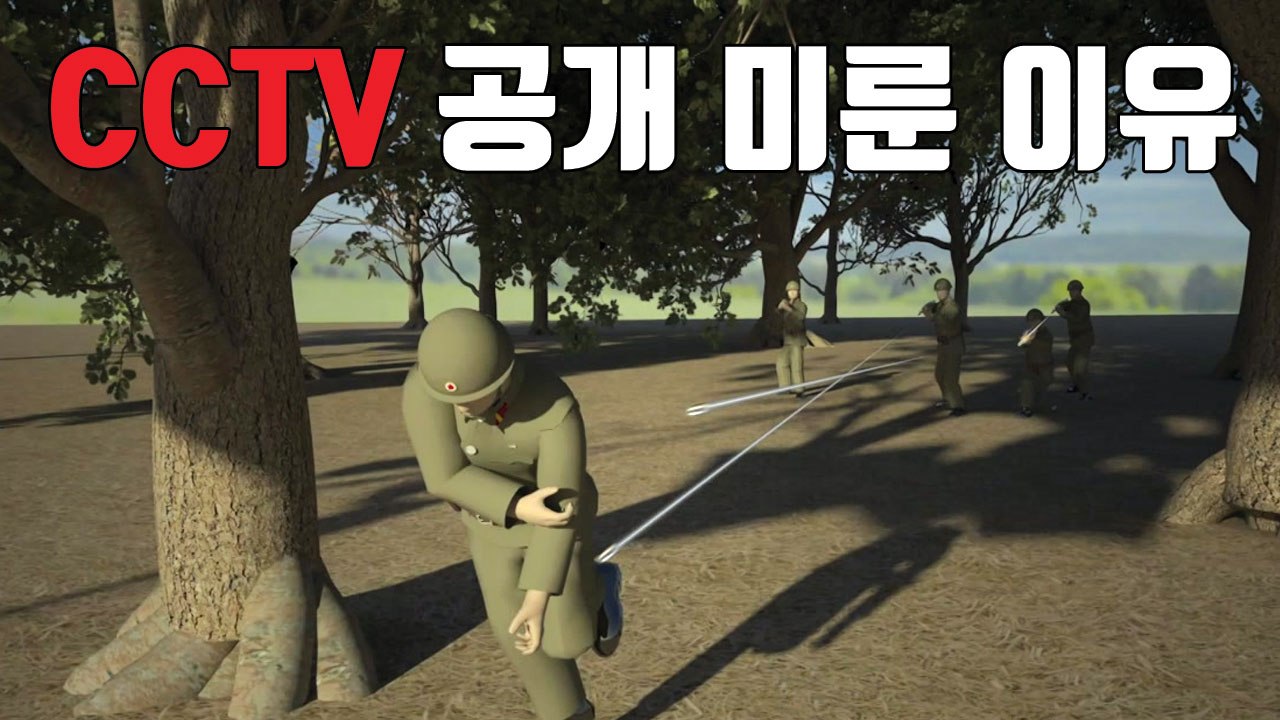 [자막뉴스] '北 병사 귀순' 판문점 CCTV 공개 미룬 이유 / YTN