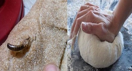 خطير .. وزير يعترف : المغاربة كاياكلو الدود بلا مايشعرو