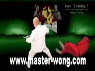JKD Training on YouTube With Master Wong