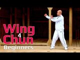 Wing Chun for beginners lesson 13: basic leg/ hand combination/ moving forward with straight punch