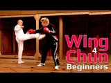 Wing Chun for beginners lesson 18: basic blocking combo drill/ blocking punch, hook & uppercut