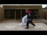 Kickboxing basics - Lesson 17 Jab, Cross, Heel Kick, Bob and Weave