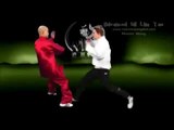 Wing Chun Kung Fu siu lim tao Preview