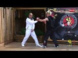 Wing Chun energy drill basic training - Lesson 6 Stepping