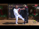 Wing Chun energy drill basic training - Lesson 17 Shin Kick