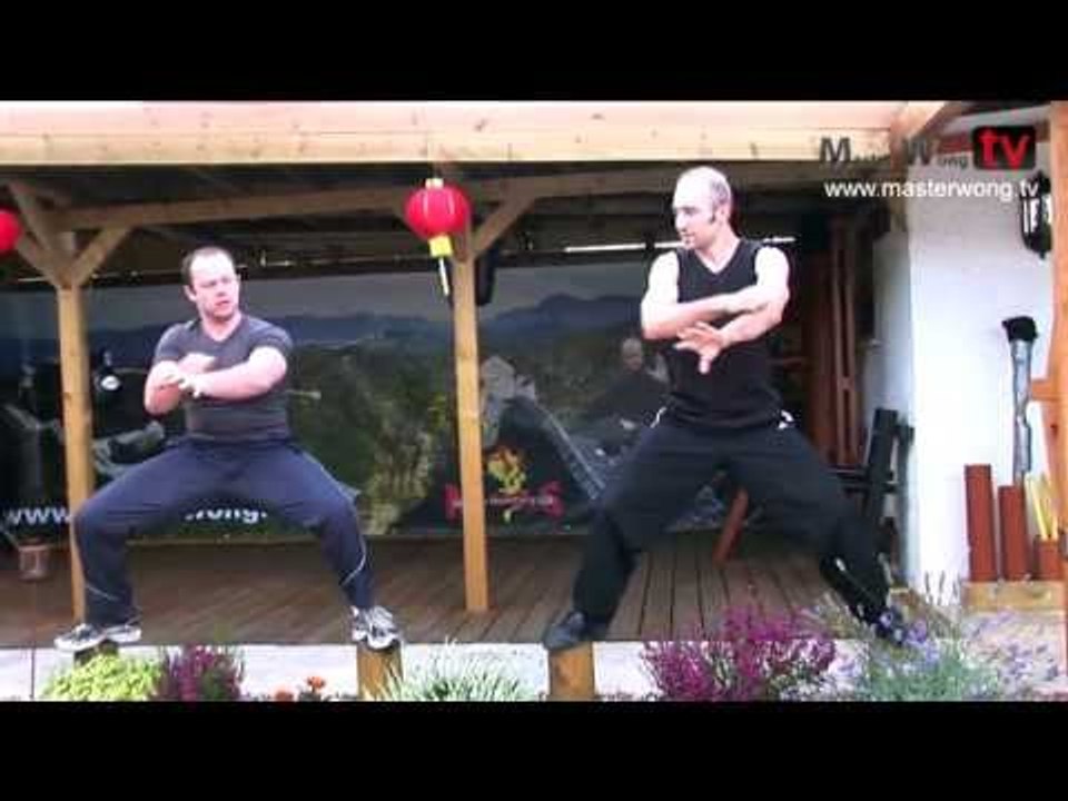 Wing Chun apprentice 1 - Training Lesson 5