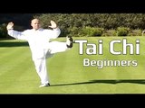 Tai chi chuan for beginners - Taiji Yang Style form Lesson 6