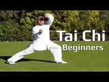 Tai chi chuan for beginners - Taiji Yang Style form Lesson 8