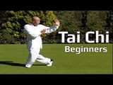 Tai chi chuan for beginners - Taiji Yang Style form Lesson 5