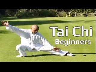 Tai chi chuan for beginners - Taiji Yang Style form Lesson 7