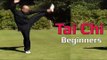 Tai chi chuan for beginners - Taiji Canon Fist Chen Style 1 Part 8
