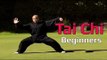 Tai chi chuan for beginners - Taiji Canon Fist Chen Style 1 Part 6