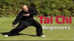 Tai chi chuan for beginners - Taiji Canon Fist Chen Style 1 Part 4