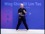 Wing Chun kung fu siu lim tao - form  applications Lessons 5-10