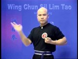 Wing Chun kung fu siu lim tao - form  applications Lessons 2-10
