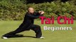 Tai chi chuan for beginners - Taiji Canon Fist Chen Style 1 Part 5