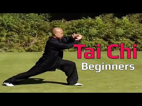Tai chi chuan for beginners - Taiji Canon Fist Chen Style 1 Part 5