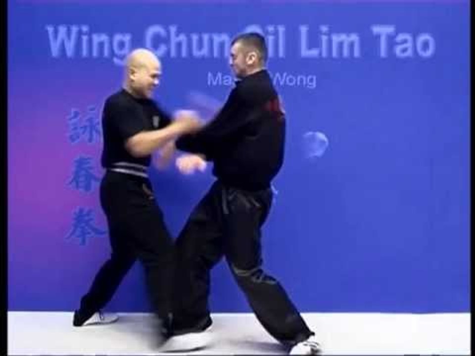 Wing Chun kung fu siu lim tao - form  applicati...