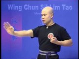Wing Chun kung fu siu lim tao - form  applications Lessons 1-10
