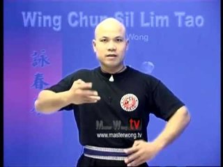 Wing Chun kung fu siu lim tao - form  applications Lessons 6-10