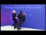 Wing Chun kung fu Chum Kiu form applications Lessons 4-6