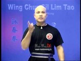 Wing Chun kung fu siu lim tao - form  applications Lessons 8-10