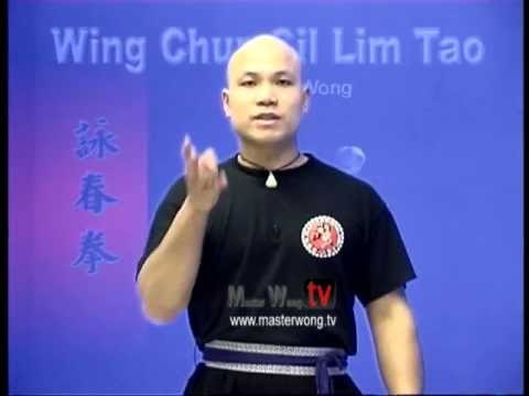 Wing Chun kung fu siu lim tao - form applications Lessons 8-10
