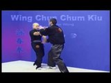 Wing Chun kung fu Chum Kiu form applications Lessons 5-6