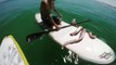 Un calamar géant ne veut plus lacher la planche de ce paddle boarder... Collant l'animal