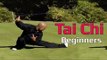 Tai chi chuan for beginners - Taiji Canon Fist Chen Style 1 Part 7