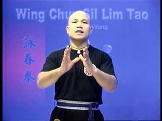 Wing Chun kung fu siu lim tao - form  applications Lessons 10-10