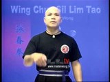 Wing Chun kung fu siu lim tao - form  applications Lessons 7-10