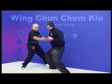 Wing Chun kung fu Chum Kiu form applications Lessons 2-6