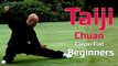 TaiJi chuan for beginners -Tai Chi Canon Fist 2 Chen style Lesson 6