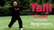 TaiJi chuan for beginners -Tai Chi Canon Fist 2 Chen style Lesson 8
