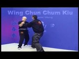Wing Chun kung fu Chum Kiu form applications Lessons 6-6