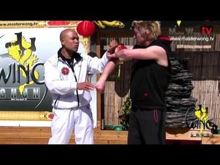 Wing Chun energy drill basic training - Lesson 45. Combo drill 15