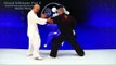 tai chi push hands tai chi chuan fight style use tai chi - Lesson 4