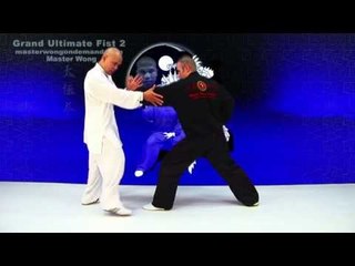 tai chi push hands tai chi chuan fight style use tai chi - Lesson 4