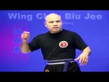 Wing Chun kung fu - wing chun Biu Jee Lesson 7