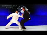 Tai Chi combat tai chi chuan fight style use tai chi - Preview