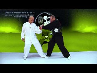 Tai Chi combat tai chi chuan fight style use tai chi - lesson 7