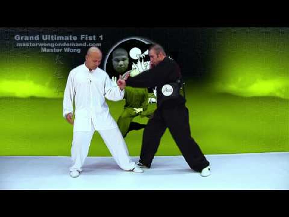 Tai Chi combat tai chi chuan fight style use ta...