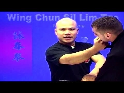 Wing Chun kung fu - wing chun siu lim tao Lesson 2
