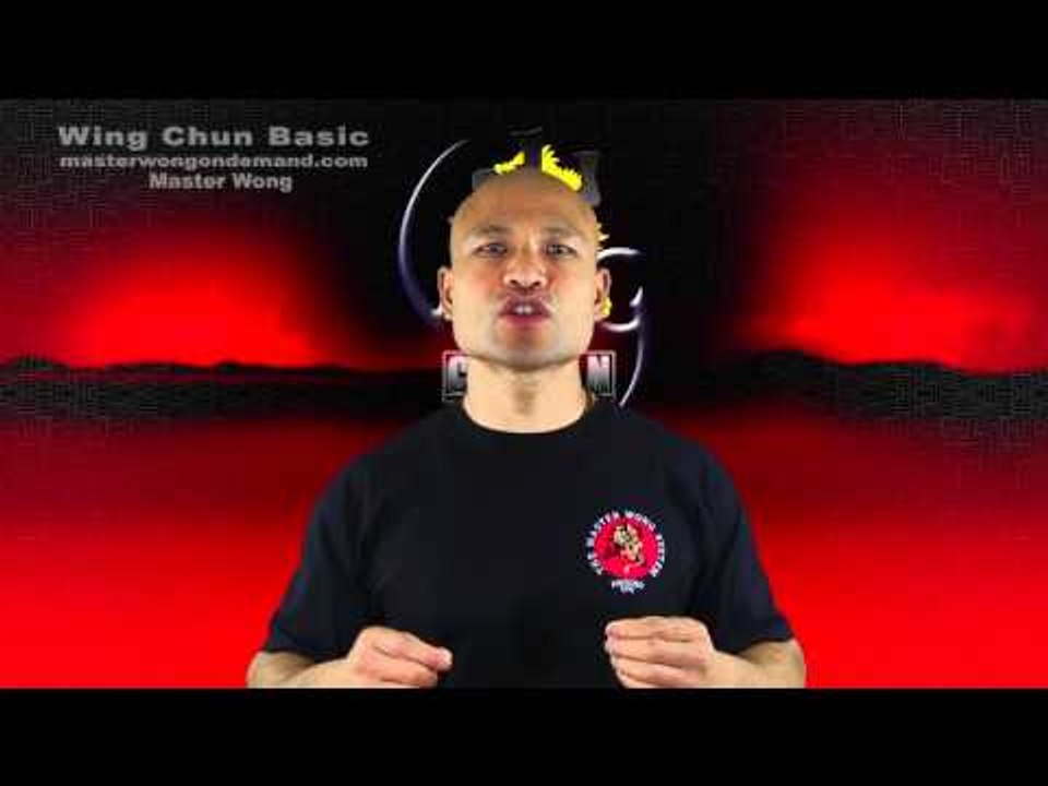 Wing Chun Mini Course Free