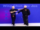 Wing Chun kung fu - wing chun Biu Jee Lesson 8