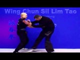 Wing Chun kung fu - wing chun  siu lim tao lesson 8