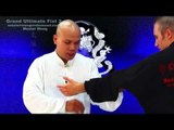 tai chi push hands tai chi chuan fight style use tai chi - lesson 2