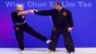 Wing Chun kung fu - wing chun  siu lim tao lesson 5