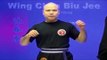 Wing Chun kung fu - wing chun Biu Jee Lesson 4